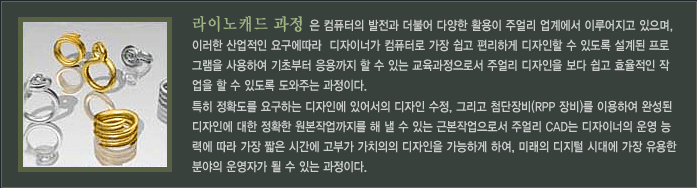 라이노캐드과정은