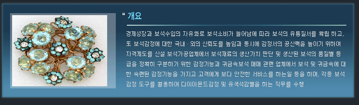 개요